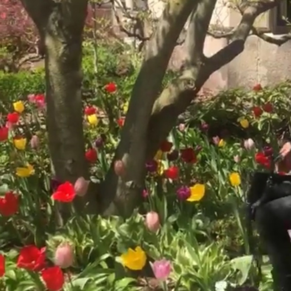 Meet your Posher, Emma